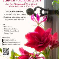 Concours Amaryllis 2024