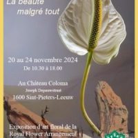 La beauté malgré tout