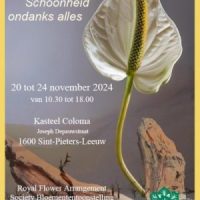 Schoonheid ondanks alles