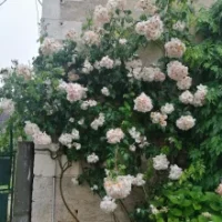 Voyage en Val de Loire  2024