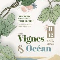 Entre Vignes & Océan