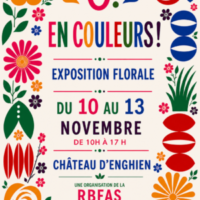 Ô en couleur !